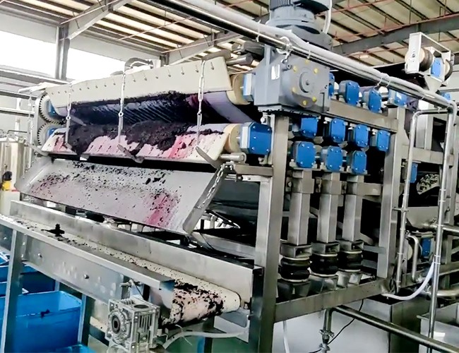 帶式壓榨機(jī)客戶桑葚榨汁使用現(xiàn)場(chǎng)